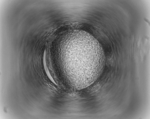 X0000095521010200712281455