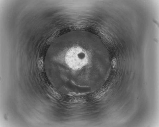 X0000095521011200712281455