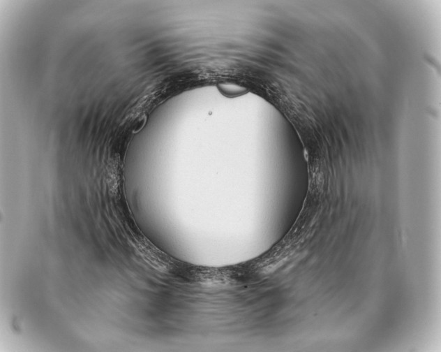 X0000095521012200712281455