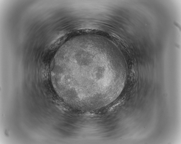 X0000095521014200712281455