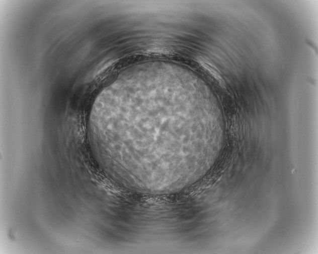 X0000095521015200712281455