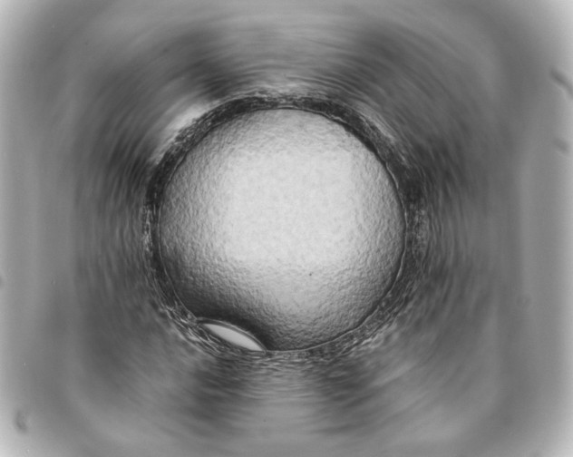 X0000095521016200712281455