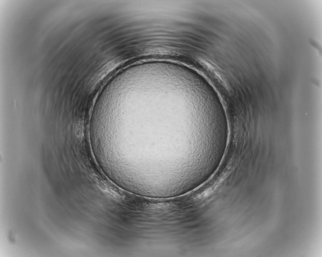 X0000095521017200712281455