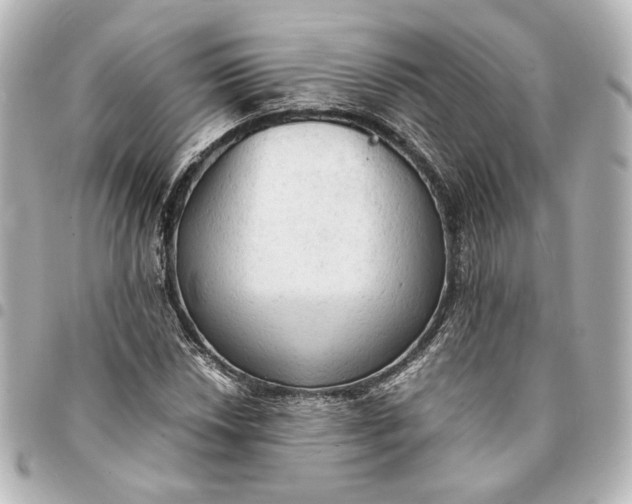 X0000095521018200712281455