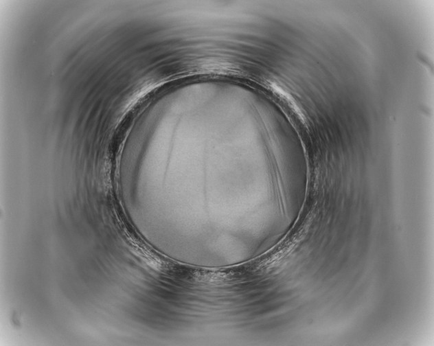 X0000095521019200712281455