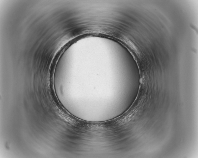 X0000095521020200712281455