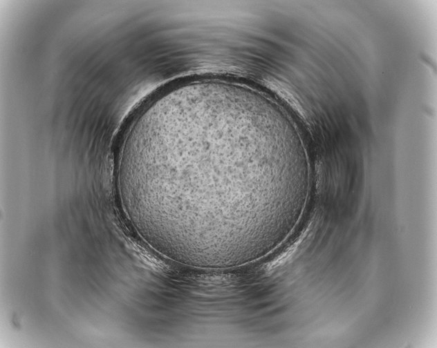 X0000095521021200712281455