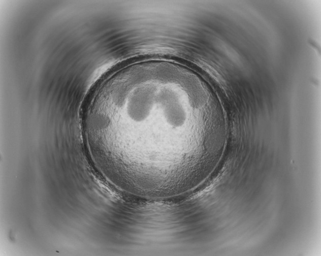 X0000095521022200712281455