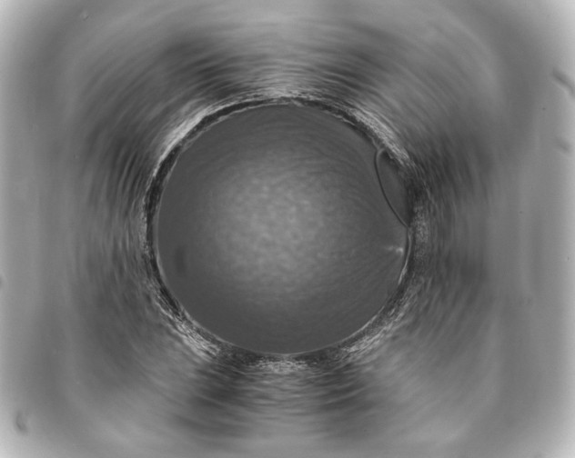 X0000095521023200712281455