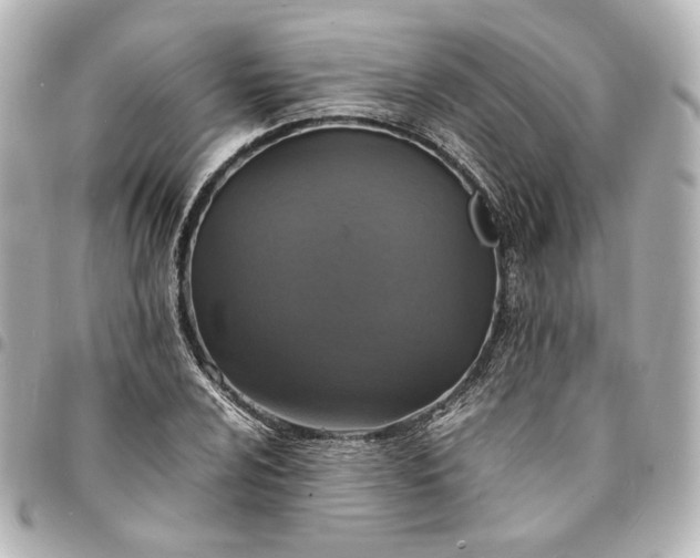 X0000095521024200712281455