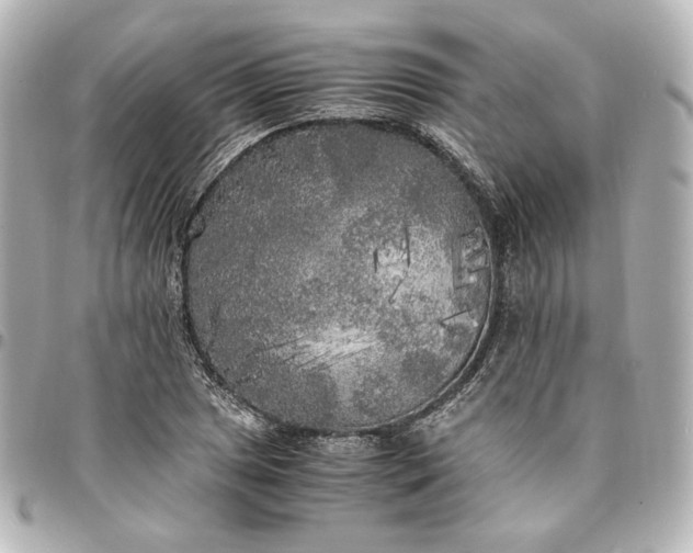 X0000095521025200712281455