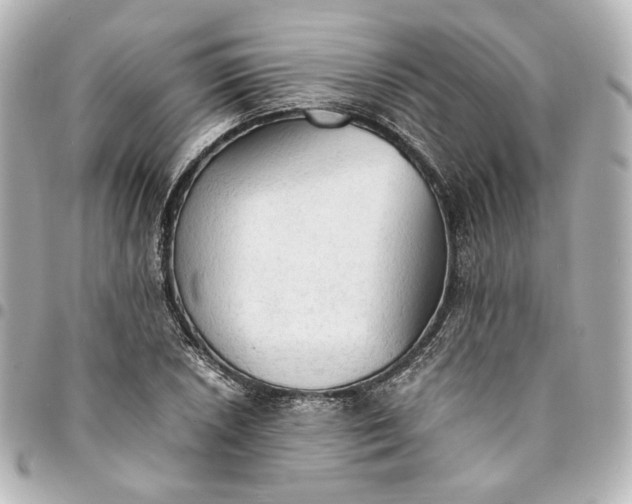 X0000095521026200712281455