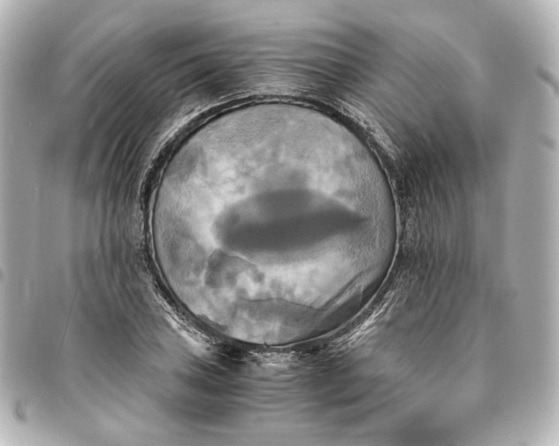 X0000095521027200712281455