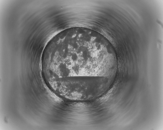 X0000095521028200712281455