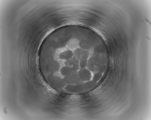 X0000095521029200712281455