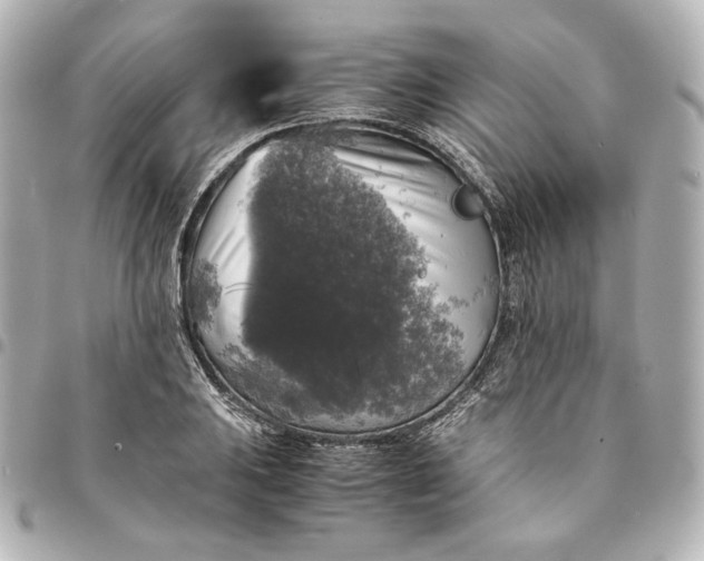 X0000095521031200712281456