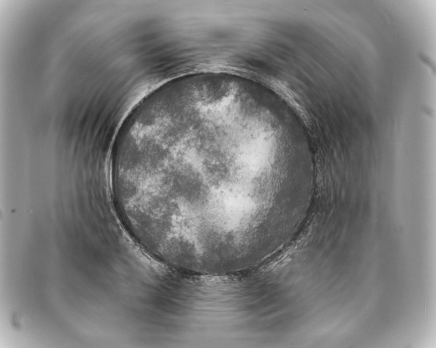 X0000095521032200712281456