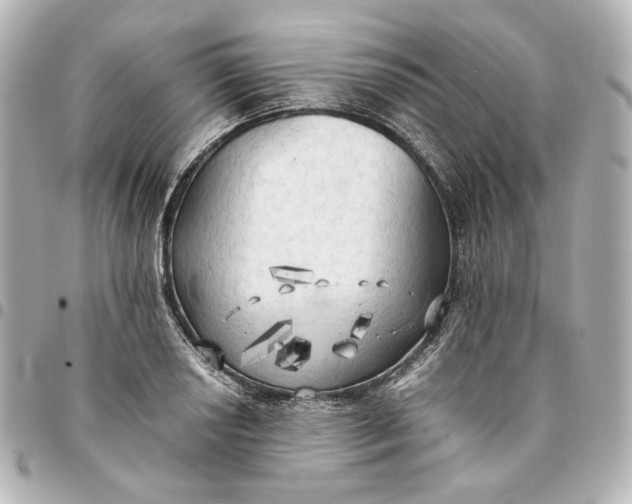 X0000095521034200712281456