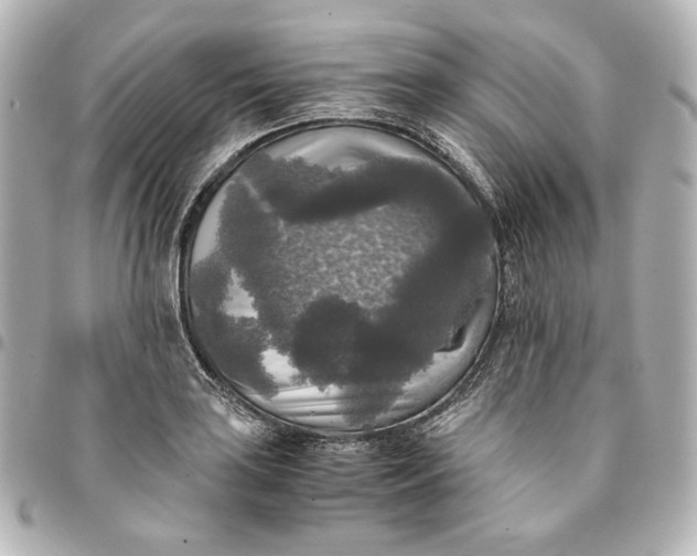 X0000095521035200712281456