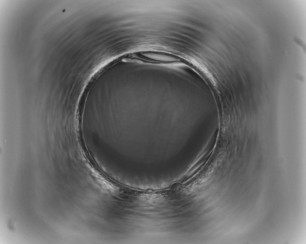 X0000095521037200712281456