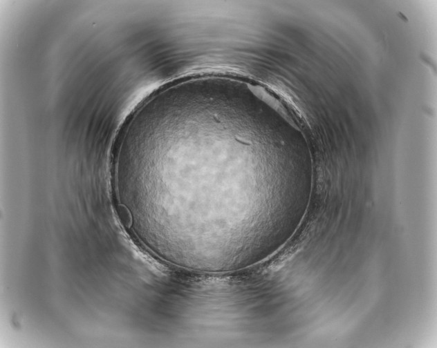 X0000095521038200712281456