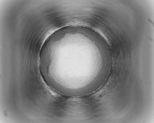 X0000095521040200712281456