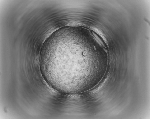 X0000095521041200712281456