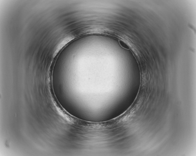 X0000095521042200712281456