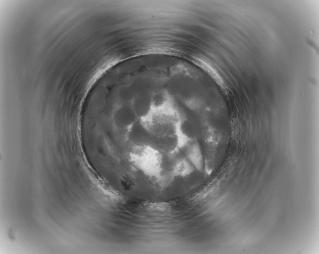 X0000095521043200712281456