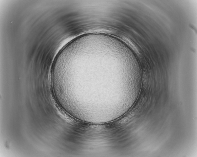 X0000095521044200712281456