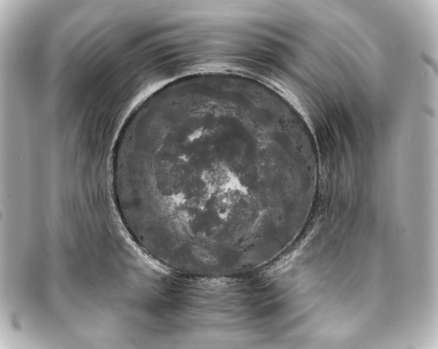 X0000095521045200712281456