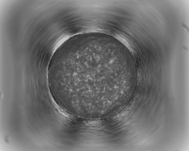 X0000095521047200712281456