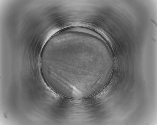 X0000095521048200712281456