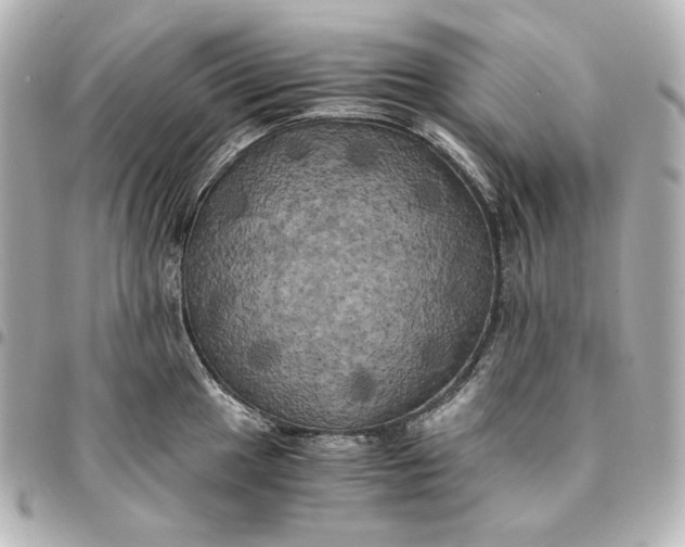 X0000095521049200712281456