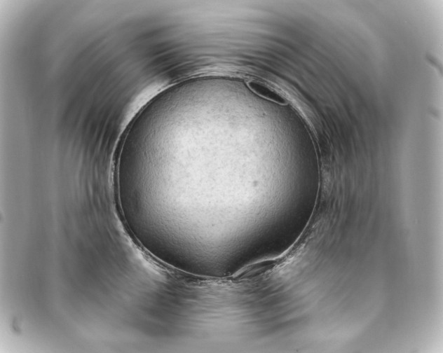 X0000095521050200712281456