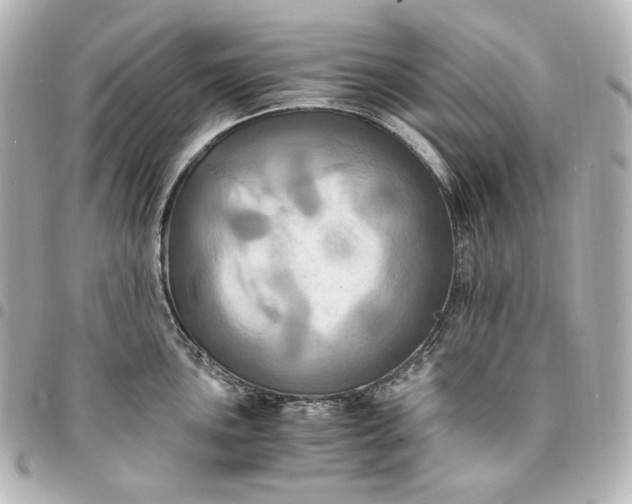 X0000095521051200712281456