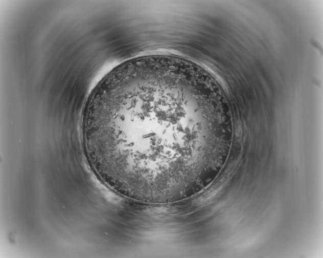 X0000095521054200712281456