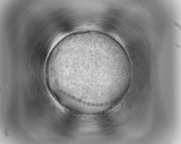 X0000095521056200712281456