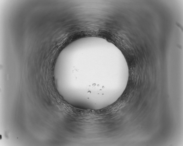 X0000095521057200712281455