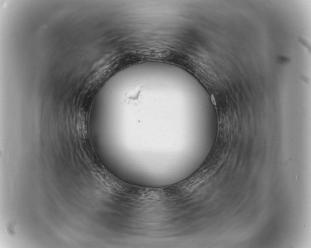 X0000095521058200712281455