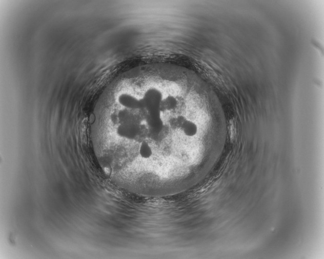 X0000095521059200712281455