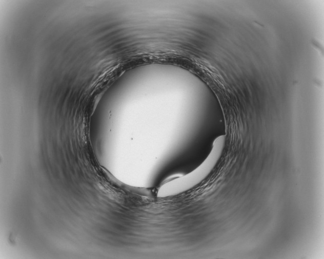 X0000095521060200712281455