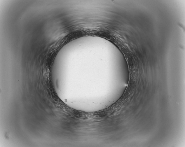 X0000095521061200712281455