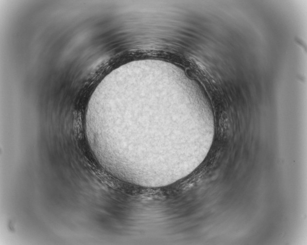 X0000095521062200712281455