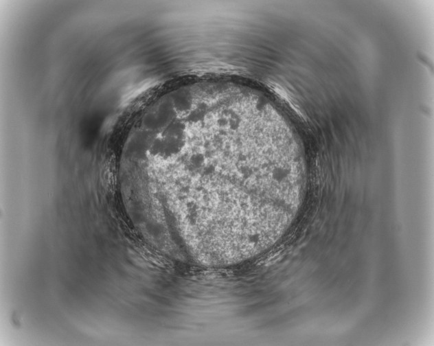 X0000095521063200712281455