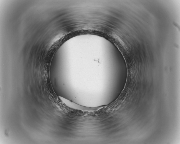 X0000095521064200712281455