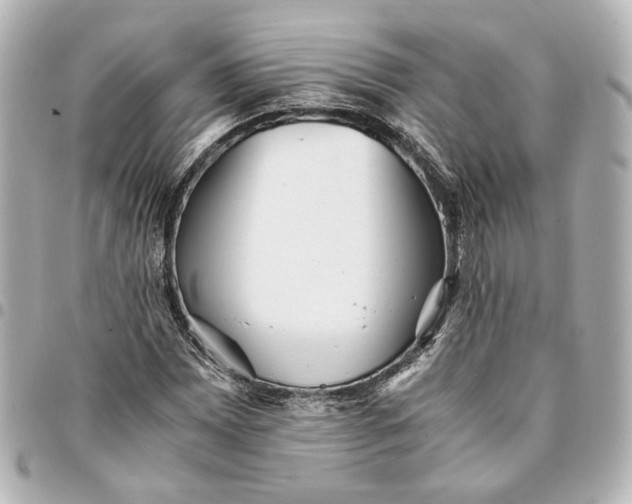 X0000095521065200712281455