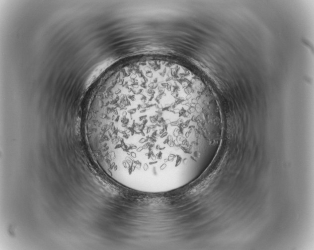 X0000095521066200712281455