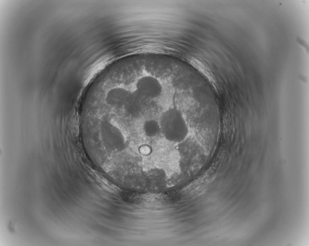 X0000095521067200712281455