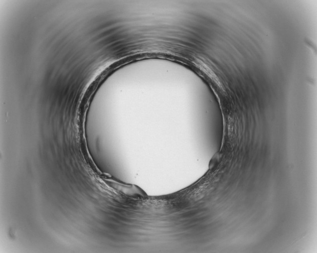 X0000095521068200712281455